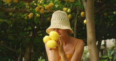 Yaz mevsiminde Amalfi İtalya 'da limon bahçesinin altında taze limon tutan bir kadın gülümsüyor..