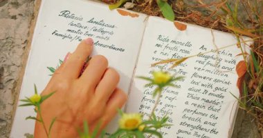 Capri Adası 'ndaki mastik ağacı tanımlayan seramik plaketin el yazısı..
