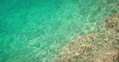 Makarska 'daki kristal berrak turkuaz su kayalık kıyı şeridinde küçük balıklarla kaynıyor.