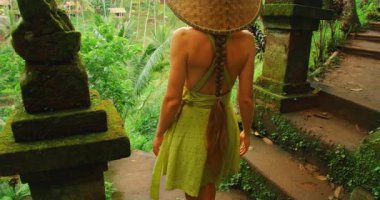 Yosunlu tapınağı keşfeden turist Bali 'deki bereketli Tegallalang pirinç tarlalarında adımlar atıyor..