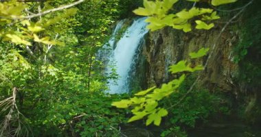 Şelale, yemyeşil bitki örtüsüyle çevrili bir uçurumdan aşağı yuvarlanıyor..