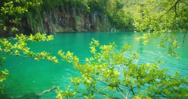 Hırvatistan 'da yaz aylarında yapraklı dallarla çerçevelenen Plitvice Ulusal Parkı Turkuaz Gölü.