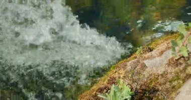 Hırvat ormanlarının yemyeşil yosunlu kaya kıyısındaki kaynayan dere suyuna yakın çekim.