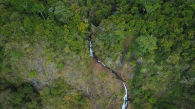 Kosta Rika 'nın ormanlık arazisindeki dar, çok katmanlı bir şelalenin aşağı manzarası..