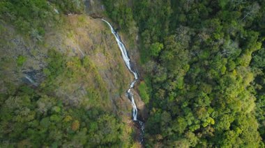 Kosta Rika 'nın kayalık yamaçlarından dökülen yağmur ormanları ve yüksek şelalelerle kaplı dağ yamaçları..