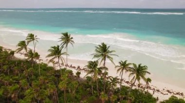 Yucatan Meksika 'da rüzgarlı bir günde kumlu sahilde palmiye ağaçları dalgaları..