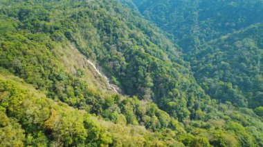 Kosta Rika 'nın Bijagua bölgesinde yemyeşil tepeler ve uzak şelaleler.