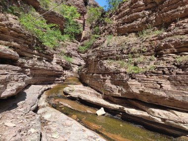 Makedonya 'nın Kamnik Kanyonu' nda temiz suyla dolu dağ deresi