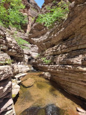 Makedonya 'nın Kamnik Kanyonu' nda temiz suyla birlikte dağ deresi