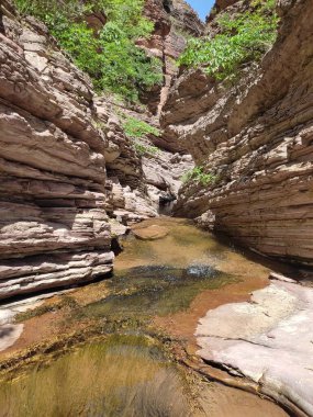 Makedonya 'nın Kamnik Kanyonu' nda temiz suyla inanılmaz bir dağ deresi