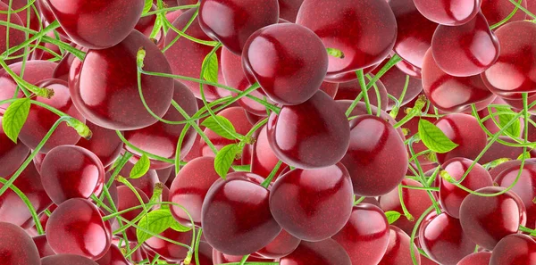 Tasarım ve dekorasyon için taze meyve, böğürtlen ve meyve pankartı