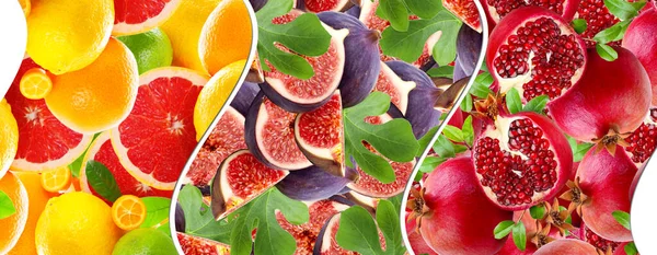 Tasarım ve dekorasyon için taze meyve, böğürtlen ve meyve pankartı