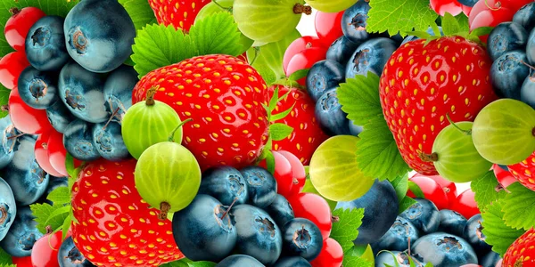 Panorama Fruits Frais Multicolores Bannière Pour Design Décoration Beaucoup Utilisations — Photo