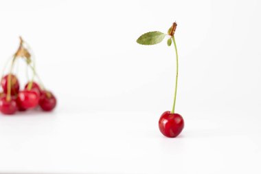Beyaz arka planda taze kiraz