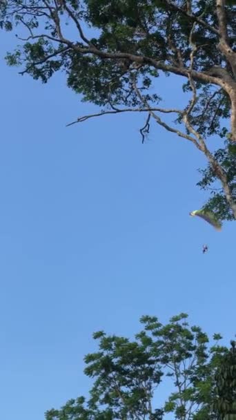 Paracaídas Medio Del Campo — Vídeos de Stock