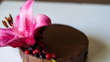 Kırmızı böğürtlenli çikolatalı pasta ve beyaz arka planda büyük kırmızı bir çiçek.