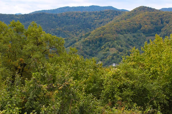 Панорама Восточных Карпат Трансильвании Близ Брашова — стоковое фото