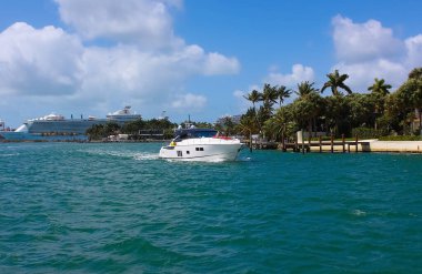 Miami, ABD - 23 Nisan 2022: Miami, Florida ABD 'deki Bayside Marina' da lüks yatlar