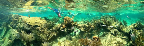 Grupo Personas Buceando Cerca Barco Hundido Bajo Mar Beautifiul Arrecife — Foto de Stock