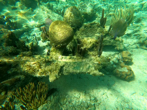 Sunken Ship Sea Beautifiul Underwater Colorful Coral Reef Caribbean Sea — Stock Photo, Image