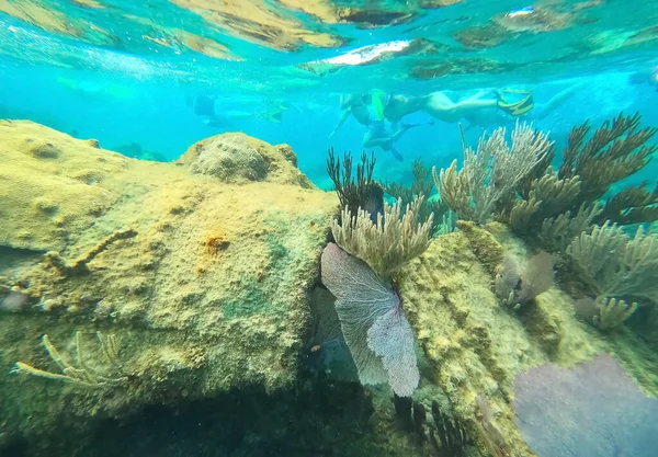 Grupo Personas Buceando Cerca Barco Hundido Bajo Mar Beautifiul Arrecife — Foto de Stock