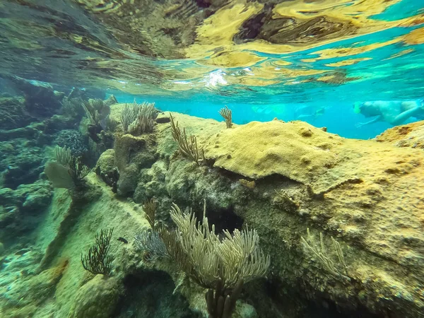 Люди Пливуть Біля Затонулого Корабля Під Водою Beautifiul Underwater Colored — стокове фото