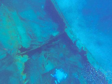 Denizin altında batmış bir gemi. Karayip Denizi 'ndeki deniz altı renkli mercan resifleri. St. Thomas' taki Balayı Sahili. Seyahat konsepti.