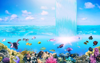 Karayip Denizi 'ndeki deniz altı renkli mercan resifleri. St. Thomas' taki Balayı Sahili. Seyahat konsepti.