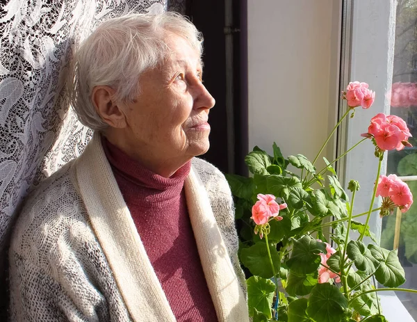 Старая Одинокая Женщина Сидит Окна Своем Доме Цветами — стоковое фото