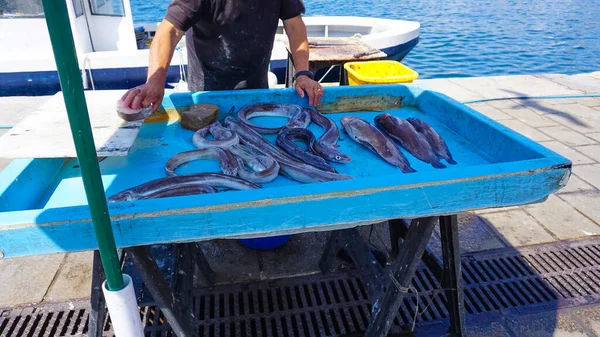Fransk Fiskare Som Säljer Färsk Fisk Vieux Hamn Marseille Frankrike — Stockfoto