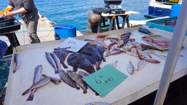 Franse Visser Die Verse Vis Verkoopt Vieux Port Marseille Frankrijk — Stockfoto