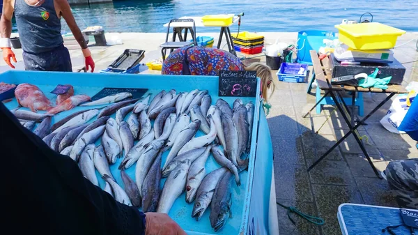 Marseille Frankrike Maj 2023 Fransk Fiskare Som Säljer Färsk Fisk — Stockfoto