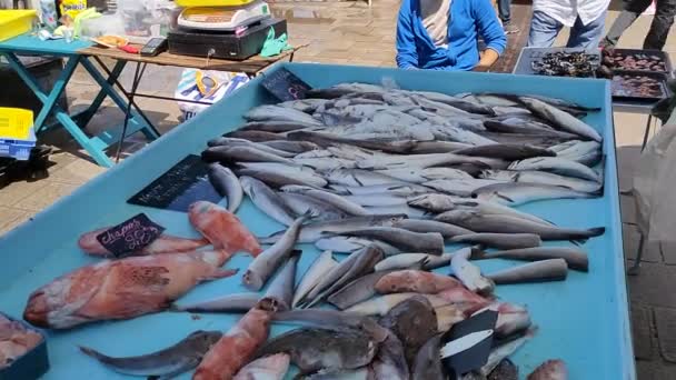 Марсель Франція Травня 2023 Року Французький Рибалка Продає Свіжу Рибу — стокове відео