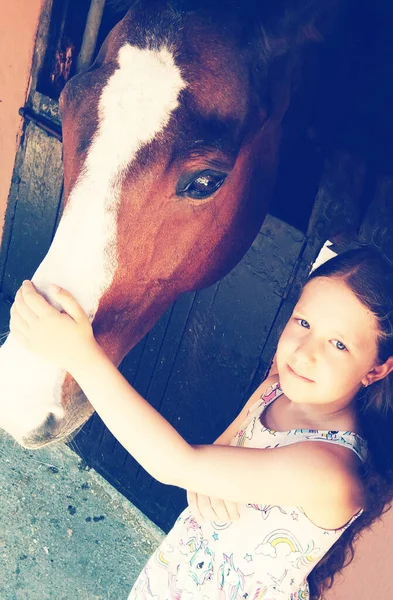 Junges Blondes Mädchen Streichelt Braunes Pferd Liebe Haustieren — Stockfoto