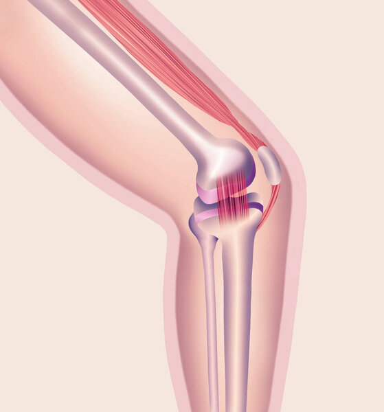 Икона человеческого колена. Структура кости ноги аанатомии изолирована на фоне пастели