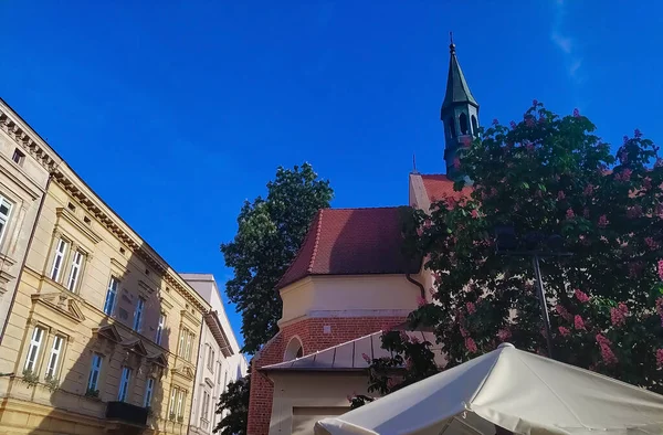 Typowa Fasada Starego Budynku Krakowa Słoneczny Dzień — Zdjęcie stockowe