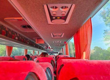 Otobüste oturan ve ormanın penceresinden bakan bir grup turist.