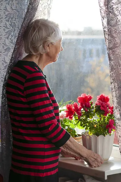 Sad old woman near the window. Happy senior woman sitting near window with flowers. Retired and contemplative lady at home