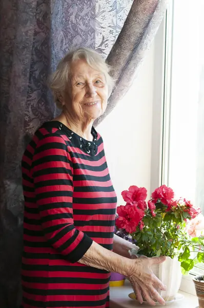 Smiling old woman near the window. Happy senior woman sitting near window with flowers. Retired and contemplative lady at home
