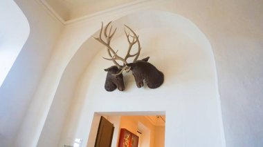 Moritzburg, Almanya - 20 Ekim 2023: Moritzburg, Almanya 'daki ana kale