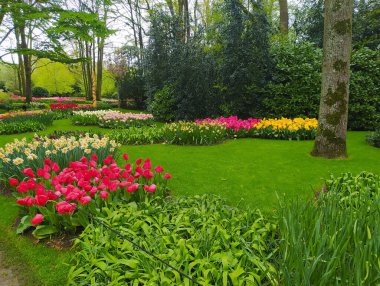 Hollanda 'daki Keukenhof çiçek ve lale parkı. Hollanda 'da güzel bir açık hava manzarası