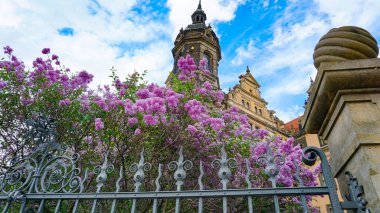 Drezden, Almanya - eski merkezdeki mimari ve tarihi bina