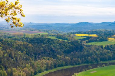 Bastei manzaralı Elbe nehrinin güzel yaz manzarası. Sakson İsviçre ulusal parkının renkli sabah manzarası, Almanya, Avrupa. Kum Taşı Dağları 'nın muhteşem manzarası, Saksonya.