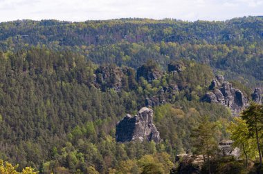 Bastei manzaralı Elbe nehrinin güzel yaz manzarası. Sakson İsviçre ulusal parkının renkli sabah manzarası, Almanya, Avrupa. Kum Taşı Dağları 'nın muhteşem manzarası, Saksonya.