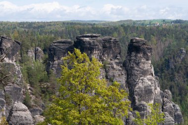 Bastei manzaralı Elbe nehrinin güzel yaz manzarası. Sakson İsviçre ulusal parkının renkli sabah manzarası, Almanya, Avrupa. Kum Taşı Dağları 'nın muhteşem manzarası, Saksonya.