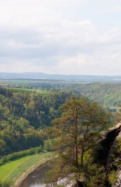 Bastei manzaralı Elbe nehrinin güzel yaz manzarası. Sakson İsviçre ulusal parkının renkli sabah manzarası, Almanya, Avrupa. Kum Taşı Dağları 'nın muhteşem manzarası, Saksonya.