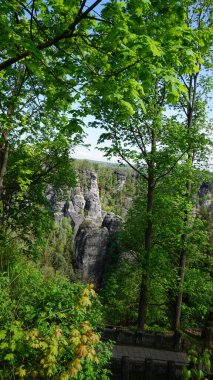 Bastei manzaralı Elbe nehrinin güzel yaz manzarası. Sakson İsviçre ulusal parkının renkli sabah manzarası, Almanya, Avrupa. Kum Taşı Dağları 'nın muhteşem manzarası, Saksonya.