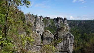Bastei manzaralı Elbe nehrinin güzel yaz manzarası. Sakson İsviçre ulusal parkının renkli sabah manzarası, Almanya, Avrupa. Kum Taşı Dağları 'nın muhteşem manzarası, Saksonya.
