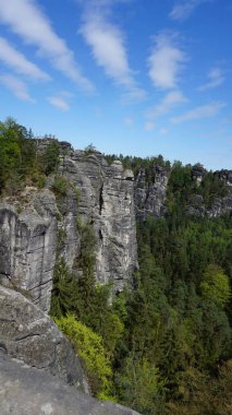 Bastei manzaralı Elbe nehrinin güzel yaz manzarası. Sakson İsviçre ulusal parkının renkli sabah manzarası, Almanya, Avrupa. Kum Taşı Dağları 'nın muhteşem manzarası, Saksonya.