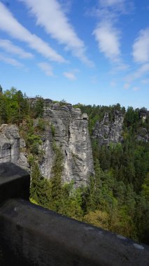 Bastei manzaralı Elbe nehrinin güzel yaz manzarası. Sakson İsviçre ulusal parkının renkli sabah manzarası, Almanya, Avrupa. Kum Taşı Dağları 'nın muhteşem manzarası, Saksonya.
